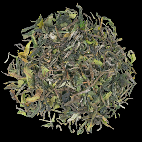 Darjeeling FTGFOP1 Orange Valley DJ6 Flugtee aus 2024