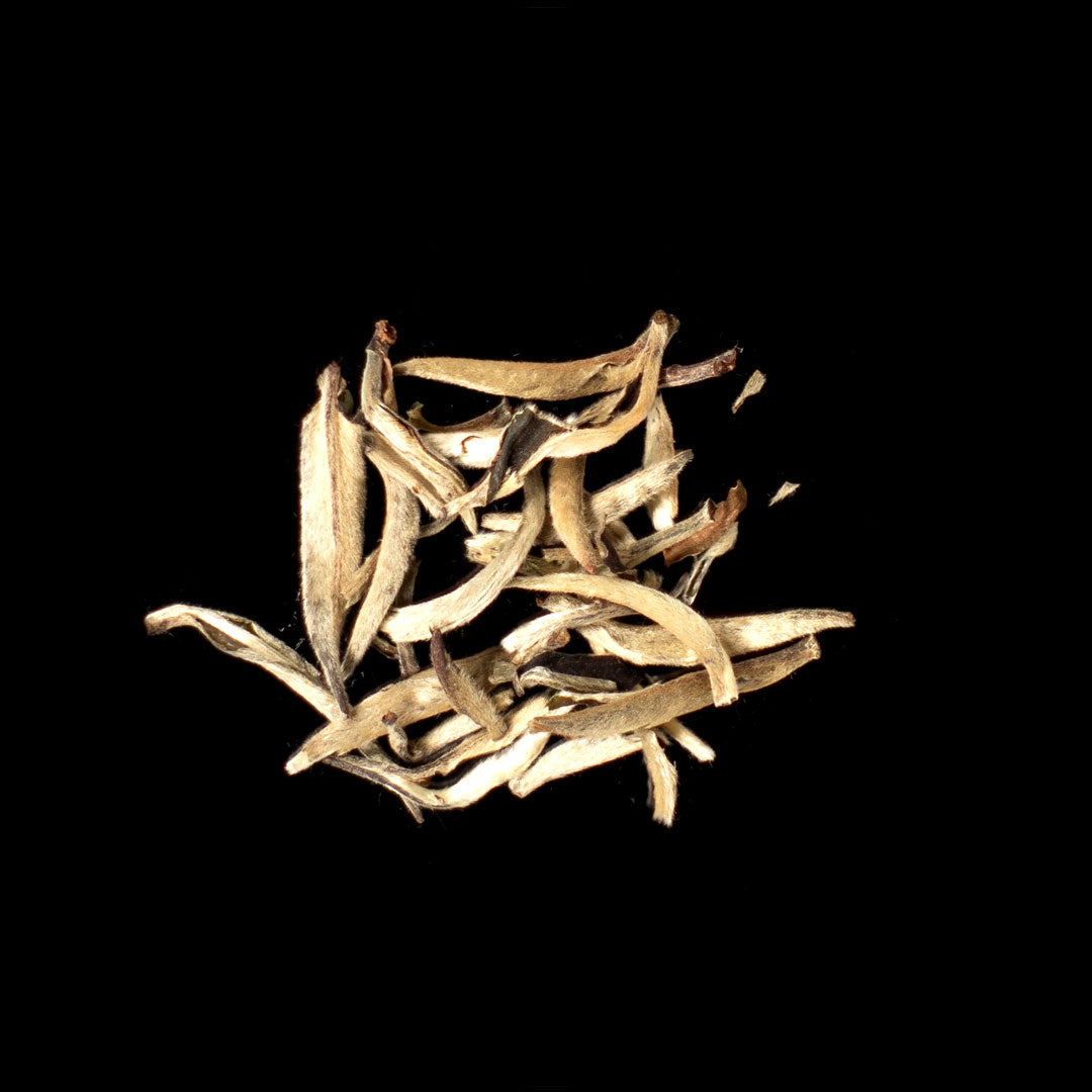 Pai Mu Tan Silvery Needle - Weißer Tee